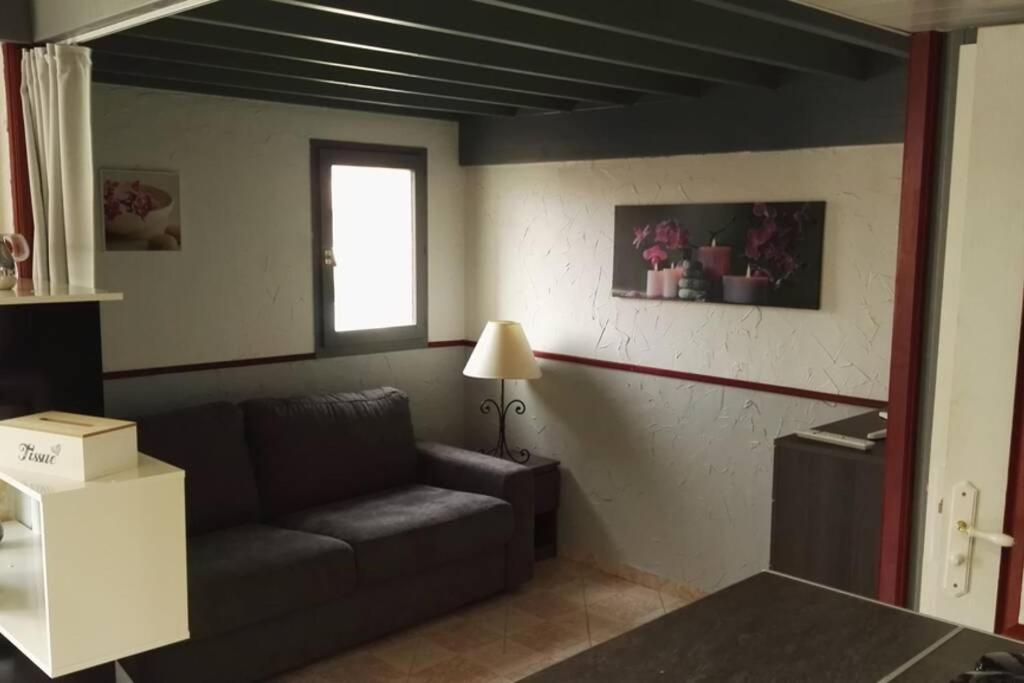 Studio Mezzanine En Residence Avec Piscine Au Village Le Barcarès Exteriör bild